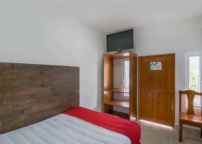 Oyo Palma Real Hotel