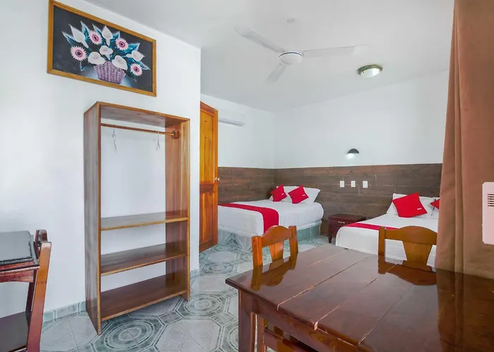 Hotel Oyo Palma Real