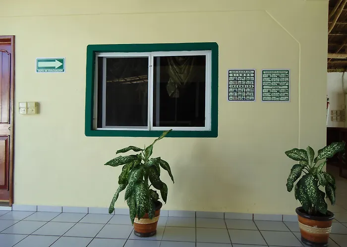 Hotel Oyo Palma Real