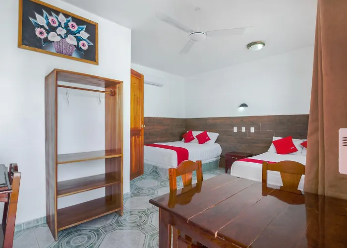 Hotel Oyo Palma Real 4*