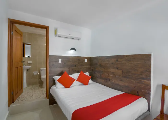 Hotel Oyo Palma Real