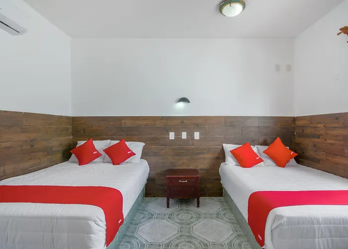 Hotel Oyo Palma Real